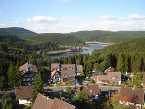 an aerial view of a town with a river and trees at Holiday home in Schulenberg im Oberharz 2685 in Schulenberg im Oberharz
