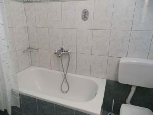 El baño incluye ducha con manguera y aseo. en Holiday home in Senj 17085, en Senj