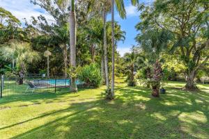 a yard with palm trees and a swimming pool at Buderim Fiesta Motel in Tanawha