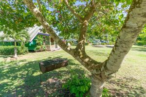 un arbre avec cage pour oiseaux dans une cour dans l'établissement Heimanarii,slodge Mahana, à Haapiti