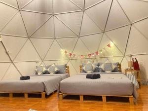2 Betten in einem Zimmer mit dreieckiger Wand in der Unterkunft ไร่ไปรยา แก่งกระจาน in Ban Wang Malako