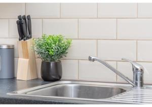 a kitchen sink with a potted plant on the counter at 2 Bedroom Apartment in Perfect Location in Enfield Lock