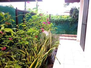 Zahrada ubytování Belle Maison F3