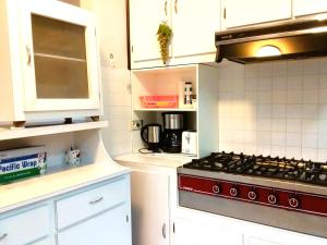 Kuchyň nebo kuchyňský kout v ubytování Belle Maison F3