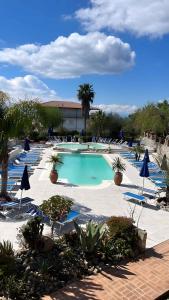 a swimming pool with blue chairs and palm trees at Apartments Capo Vaticano/Kalabrien 21016 in Ricadi