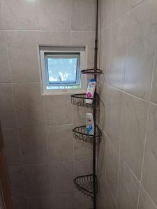 y baño con ducha y 3 estanterías de alambre. en Habitacion Amueblada Independiente, en Ciudad de México