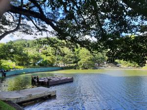 a small dock in the middle of a lake at Royal Bath Edge in Kandy