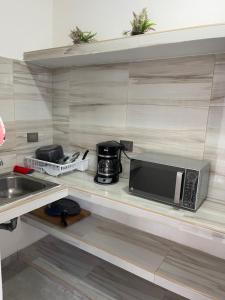 uma cozinha com um lavatório e um micro-ondas numa prateleira em Alce33 em Cancún