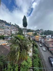 a city with a palm tree and a street at HOTEL WHITE LOTUS in Darjeeling