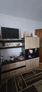 TV a/nebo společenská místnost v ubytování Casa Suzana