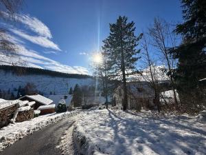 BergOase-Apart am Feldberg žiemą