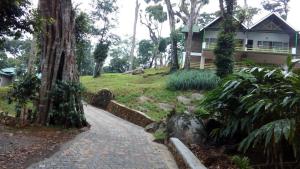 Zahrada ubytování Neelakurunji Plantation Munnar
