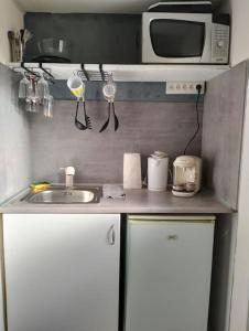 eine kleine Küche mit einer Spüle und einer Mikrowelle in der Unterkunft la coquine, love room, romantique in Toulon