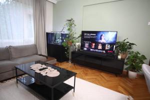 Il comprend un salon doté d'un canapé et d'une télévision à écran plat. dans l'établissement Shared apartment at Şişli(private room), à Istanbul