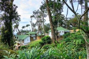 a row of houses on a hill with trees at Neelakurunji Plantation Munnar in Chinnakanal