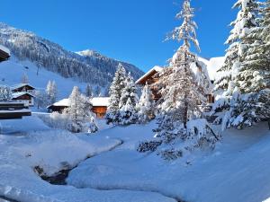 Ferienwohnungen Walserhof Malbun talvel
