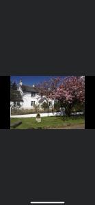 a white house with a fence and a tree at Fox House Thirdpart Farm in Beith