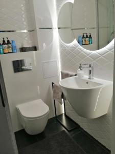 La salle de bains est pourvue d'un lavabo, de toilettes et d'un miroir. dans l'établissement Apartament - Classic Olszowa, à Włocławek