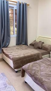 2 camas en una habitación con cortinas azules y ventana en Reef Alhamra, en Al Ḩamrāʼ