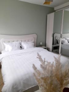 1 dormitorio con cama blanca y espejo en Apartament Deva Cetate, en Deva