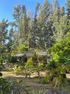 a house in the middle of a forest at Neverland Beach Village Bungalows in Ko Lanta