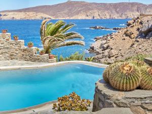 a swimming pool with a cactus and the ocean at Mykonos Lolita, A Grecotel Resort to Live in Agios Sostis Mykonos