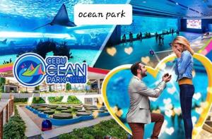 a man and a woman standing in front of an ocean park at Two-Bedroom at San Remo Oasis in Cebu City