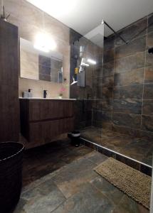 uma casa de banho com um chuveiro, um WC e um lavatório. em TERLA Bel Appartement 3 Pieces Clim & Parking em Saint-Pierre