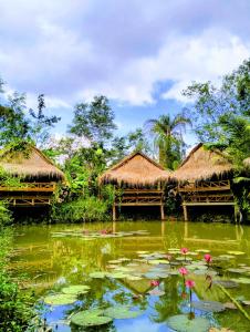 um lago com duas cabanas de palha e almofadas de lírios em Banteay Srey Women's Only Traditional Spa and Homestay em Kampot