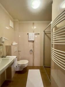 a bathroom with a toilet and a sink and a shower at Hotel Alta Vista in Neukirchen am Großvenediger