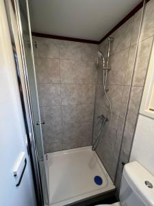 a shower with a glass door in a bathroom at Chalet Havenzicht Eernewoude in Earnewâld