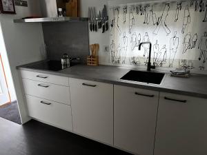 Een keuken of kitchenette bij Chalet Havenzicht Eernewoude