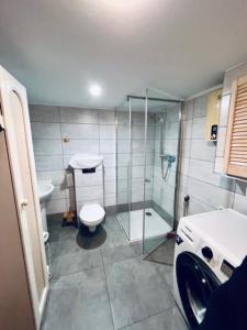 a bathroom with a shower and a toilet and a sink at Noclegi u Ewy in Duszniki Zdrój