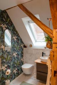 a bathroom with a toilet and a sink at Boutique Ferienwohnung Schwalbenstall Uissigheim in Uissigheim