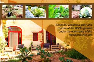 Aed väljaspool majutusasutust Il-Bàrraġ Farmhouse B&B - Gozo Traditional Hospitality