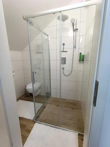 a bathroom with a glass shower with a toilet at Cozy Stay Apartments in Salzburg
