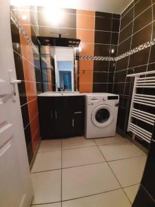 ein Badezimmer mit einer Waschmaschine und einem Waschbecken in der Unterkunft Appart chaleureux avec terrasse in Saumur