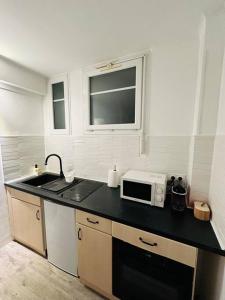 eine Küche mit einer Spüle und einer Mikrowelle auf der Theke in der Unterkunft L'éclectique - Appartement 40m2 + Parking in Châteauroux