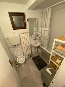 a small bathroom with a toilet and a sink at Studio Apartment Lacus in Zagreb