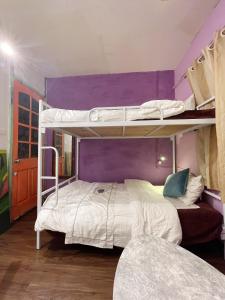 a bedroom with two bunk beds with purple walls at Lyna House in Hanoi