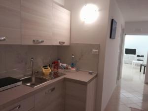 トリッジャーノにあるDi Fronzo Guest House Aのシンクとカウンタートップのあるキッチン
