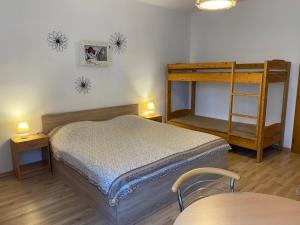 1 dormitorio con 1 cama y 1 litera en Pension Roklan, en Železná Ruda