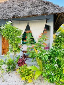 a house with a bunch of plants in front of it at Butterfly Apartment Zanzibar in Bwejuu