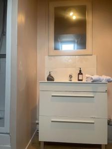 a bathroom with a white sink and a mirror at La Bretonnerie *T2* in Orléans