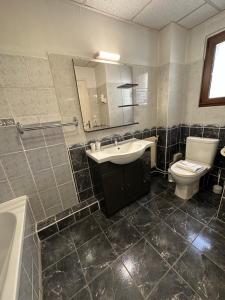 La salle de bains est pourvue d'un lavabo, de toilettes et d'un miroir. dans l'établissement Le Divona, à Divonne-les-Bains