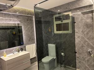a bathroom with a shower and a toilet and a sink at WB Lounge - Mohandessin Apartment in Cairo +43 photos