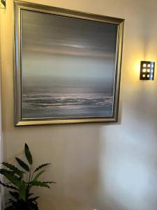 a picture hanging on a wall with a plant at Bright central large cosy flat in Fife