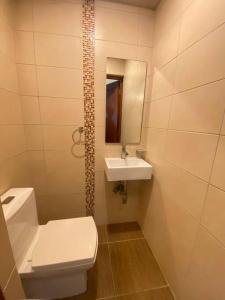 ein Badezimmer mit einem weißen WC und einem Waschbecken in der Unterkunft Moderno practico y tranquilo in Santo Domingo