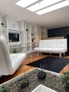 un soggiorno con divano bianco e alcune piante di Casa da Avenida VILLA INN a Braga