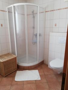 a bathroom with a shower and a toilet at Brunnerhof in Strassen